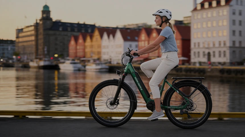 Stads-e-bikes
