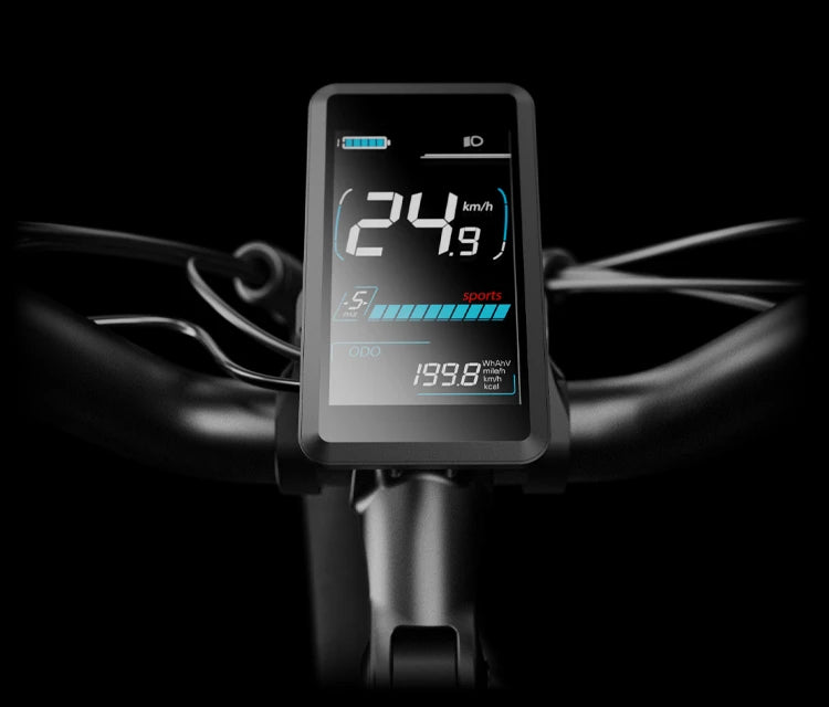 Color Smart LCD Display